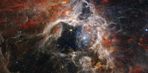 The James Webb Space Telescope’s near-infrared camera allows humanity to see the Tarantula Nebula in greater detail than has been previously captured (Courtesy NASA, ESA, CSA, STScI, Webb ERO Production Team)