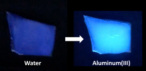 The sensing material is a metal-organic framework thin film which emits blue light in the presence of water and becomes significantly more intense in the presence of aluminum ions (Courtesy NETL)